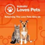291982 subaru america celebrates its love pets during october subaru loves 1 lg