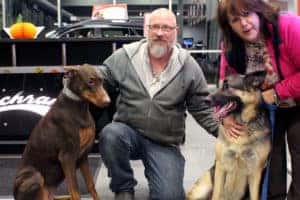 Doberman and Germanshepard