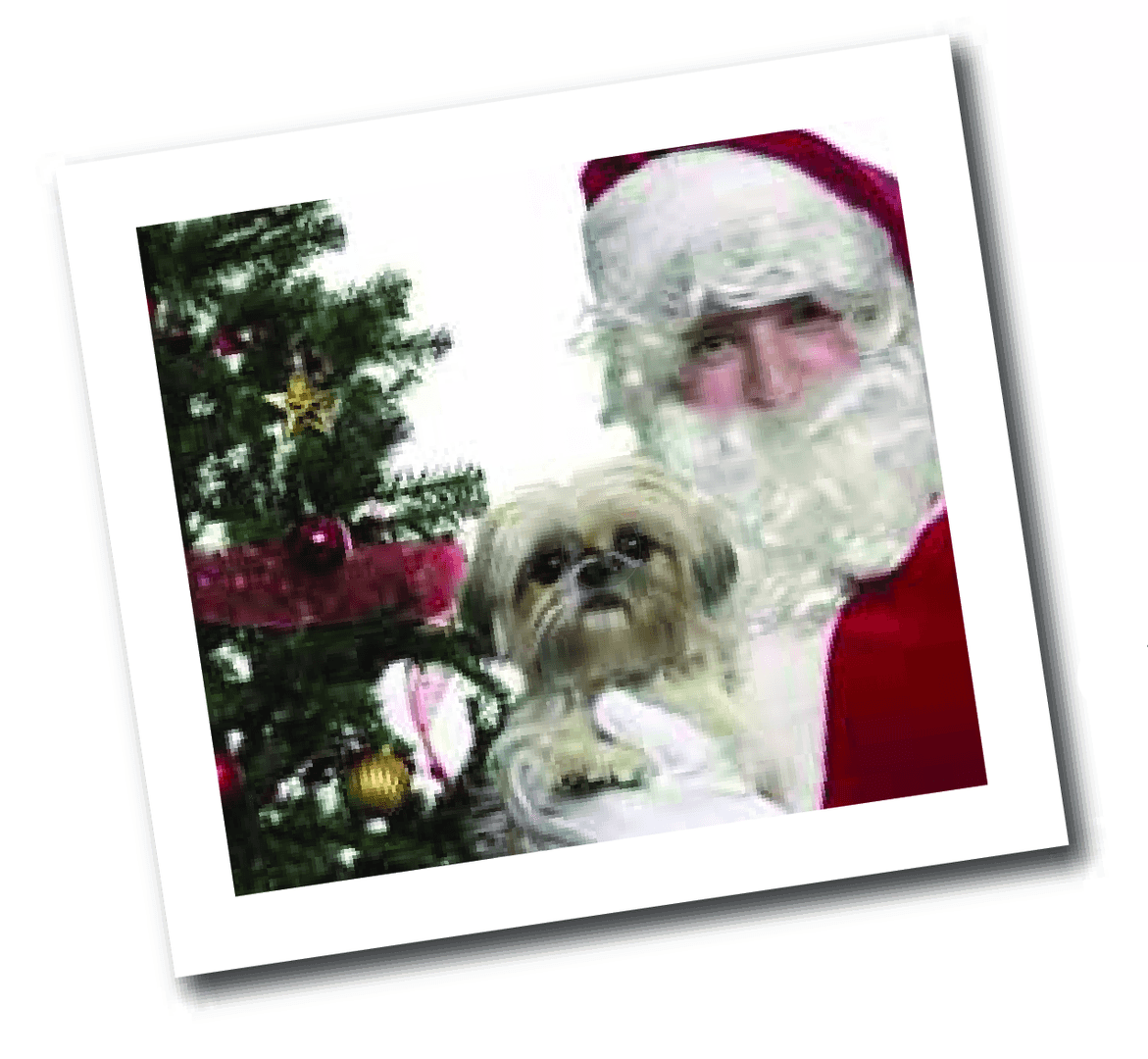 santa