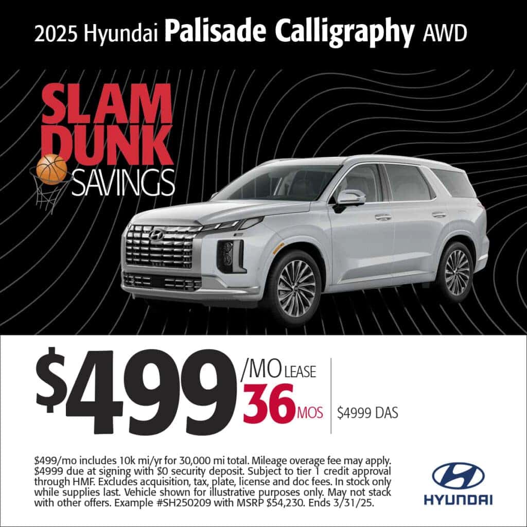 2025 Palisade