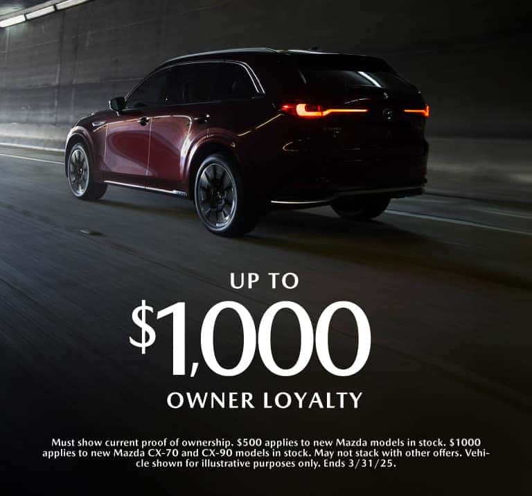 Owner Loyalty