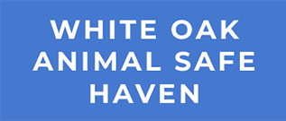 charitable giving logo