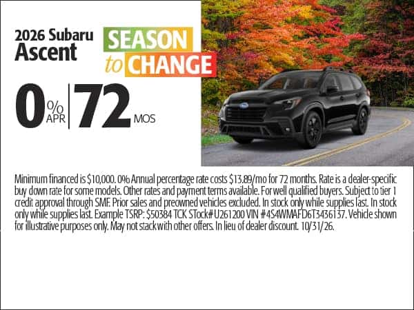 2026 Ascent