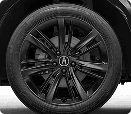 19-in Berlina Black Alloy Wheels