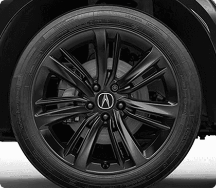 19-in Berlina Black Alloy Wheels
