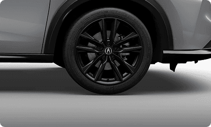 19-in Berlina Black Alloy
