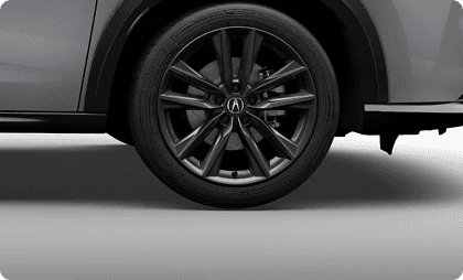 19-in Shark Gray Alloy