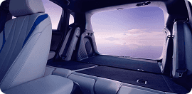 21-in Berlina Black w/Machine-Finish