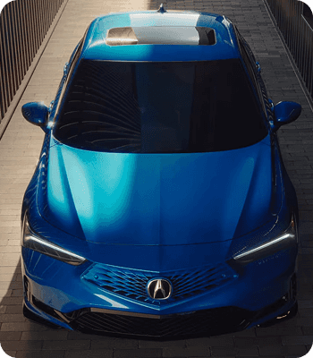 Premium Paint Technology