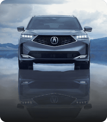 Premium Paint Technology