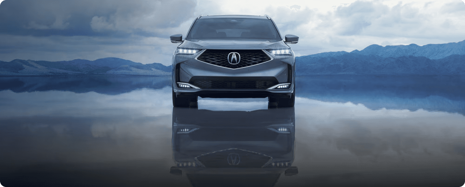 Premium Paint Technology