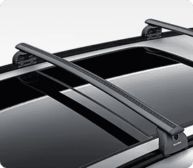 Roof Rails w/ Crossbars