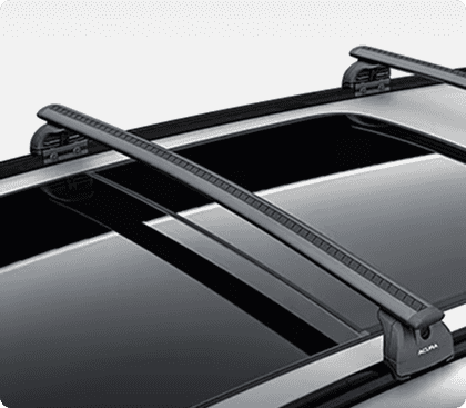 Roof Rails w/ Crossbars