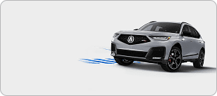 Type S Advance