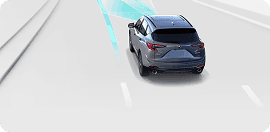 Lane Keeping Assist System (LKAS)