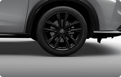19-in Berlina Black Alloy wheel