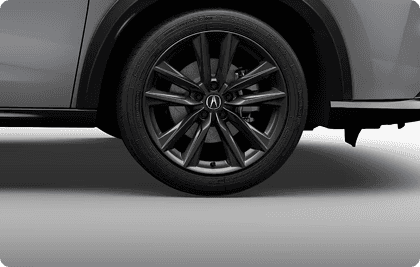 19-in Shark Gray Alloy wheel