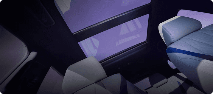 ADX Panoramic Moonroof