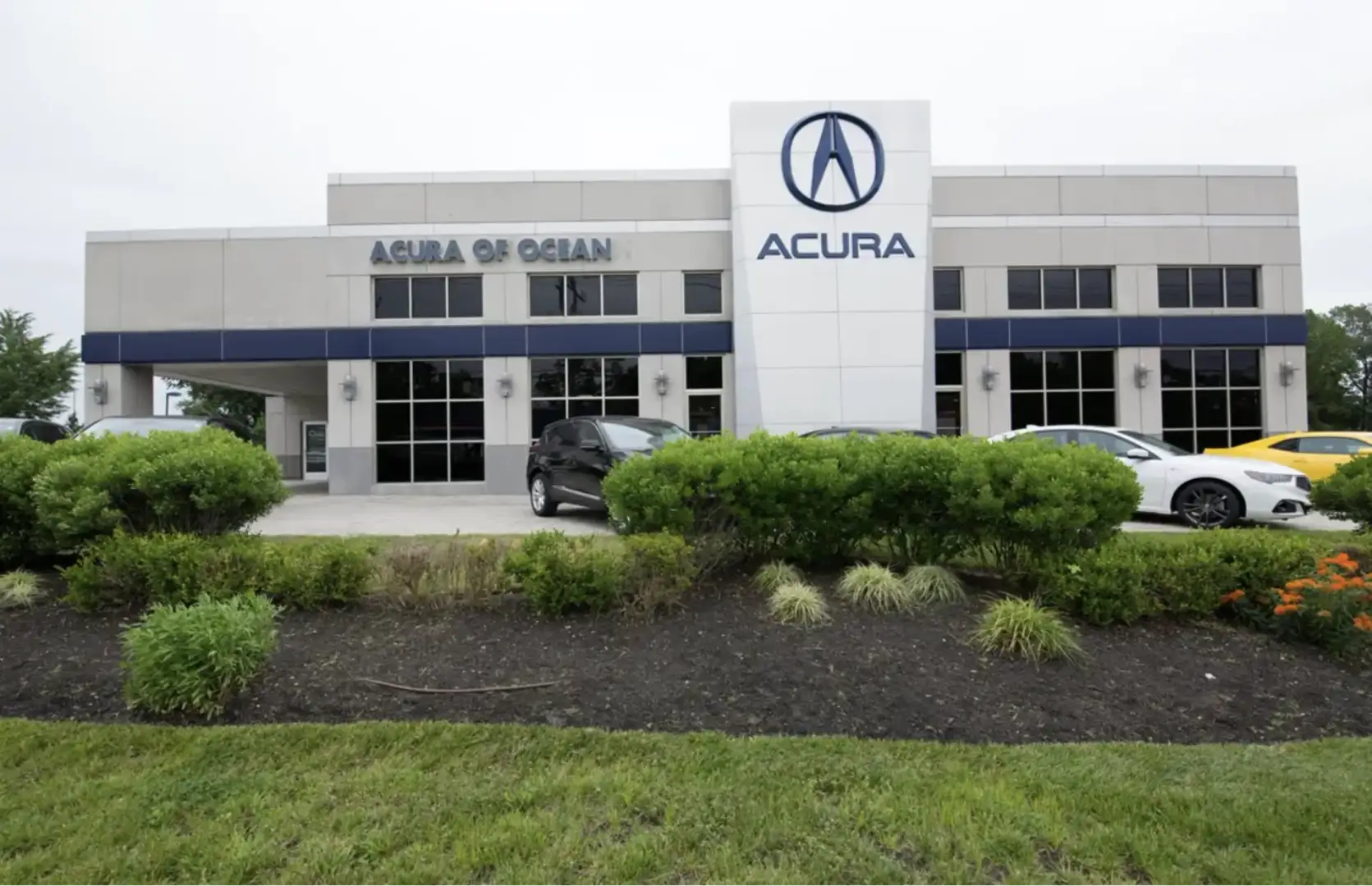 Find the Best Acura Deals in New Jersey at Acura of Ocean
