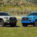 Silver and Blue Toyota Tacoma vehicles in grassy field