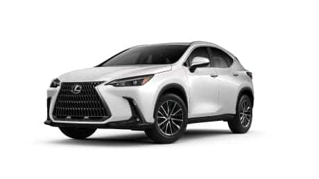 2020 Lexus NX rental rent cars rental cars