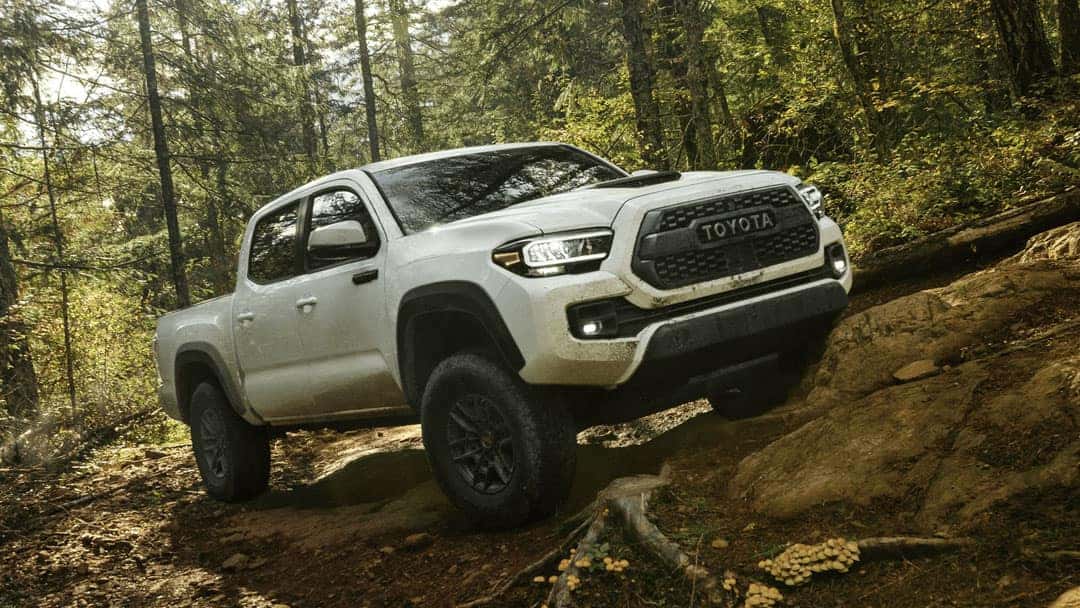 2021 Tacoma off-road