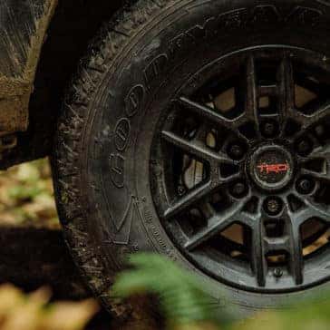 2021 Tacoma TRD