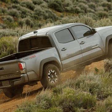 2021 Tacoma