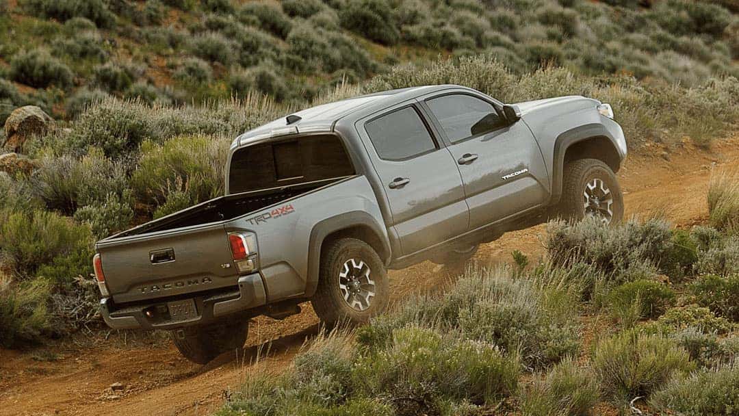 2021 Tacoma