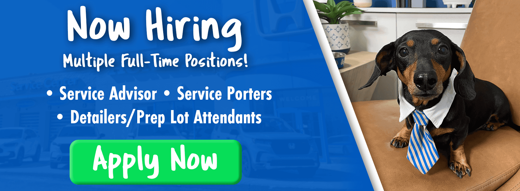 NowHiring_1800x663