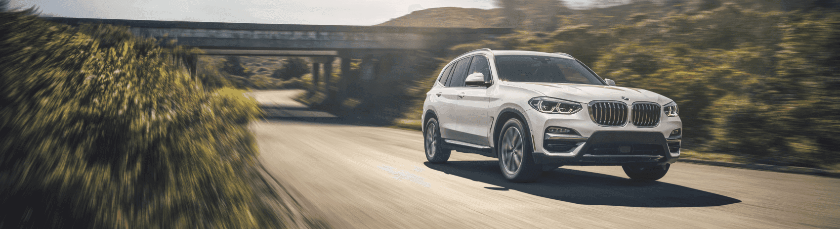 2021 BMW X3 White