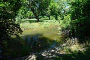 saline river hiking trail in benton, arkansas