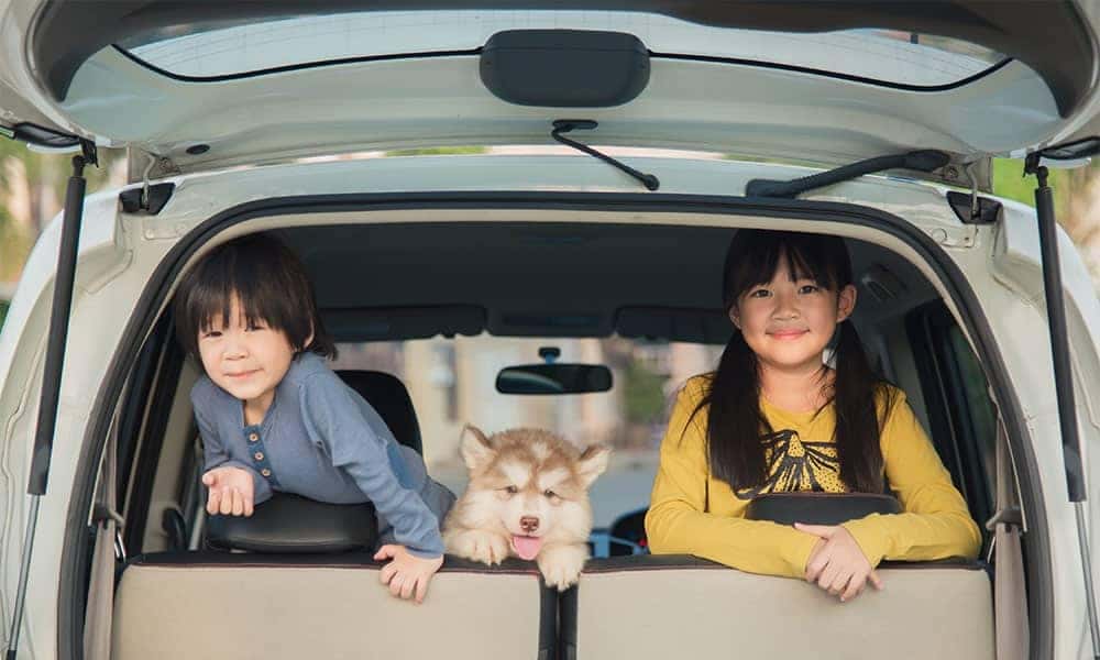 Two children in back of minivan with puppy