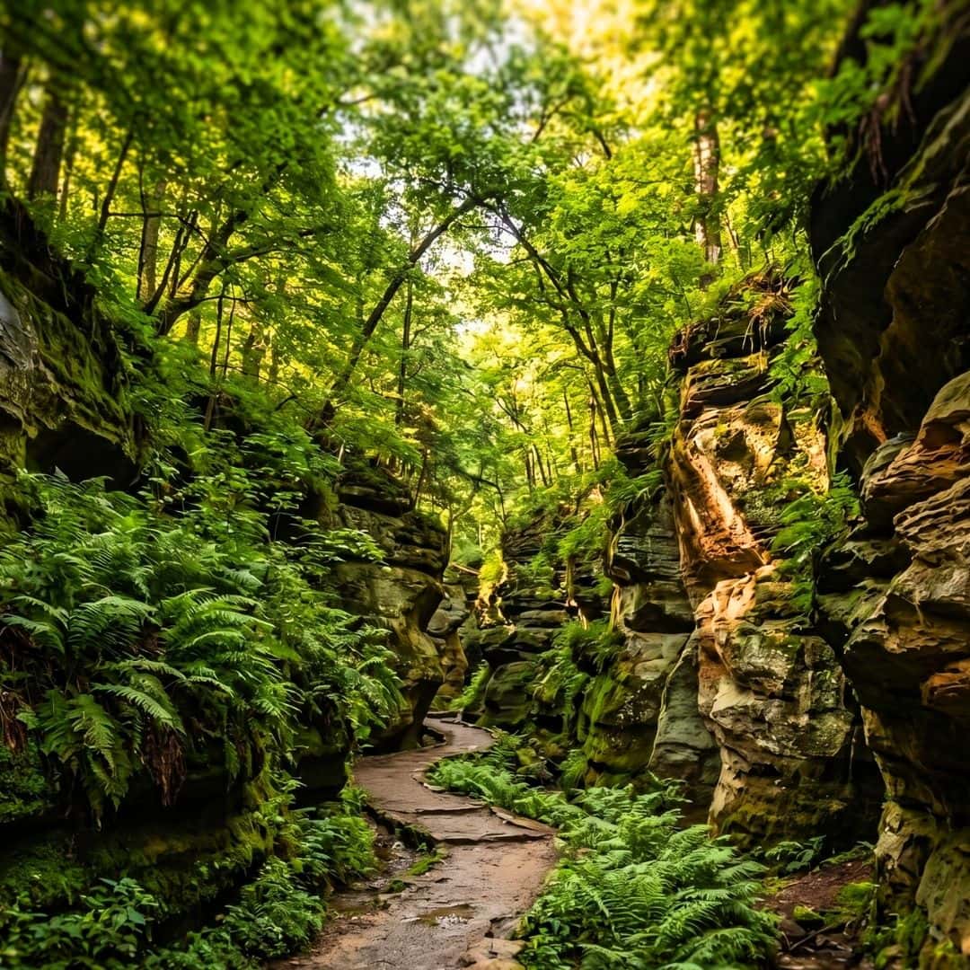 A lush, sunlit hiking trail winding through deep sandstone gorges and green foliage.