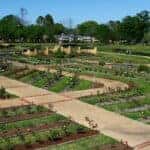 Bird's eye view of the Tyler Rose Garden