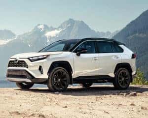 2025 Toyota RAV4