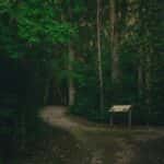 Walking Trails
