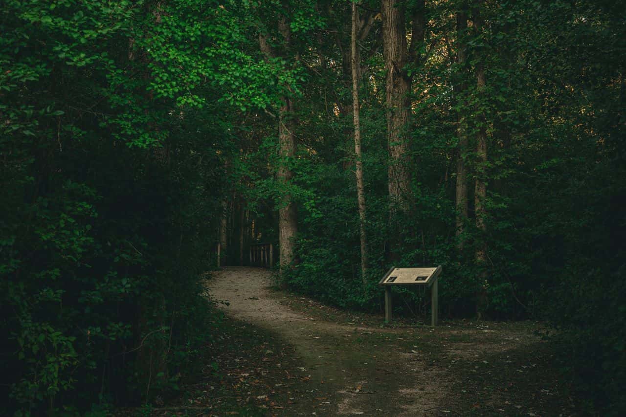 Walking Trails