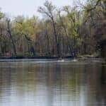 Two kayakers paddling across a calm lake lined with spring trees