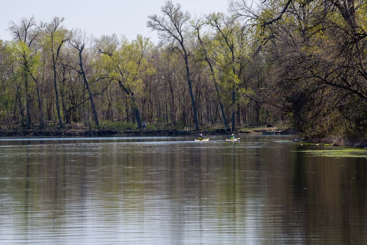 Two kayakers paddling across a calm lake lined with spring trees