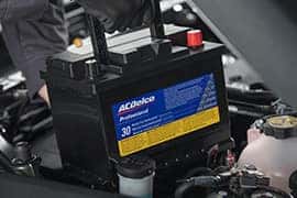 ACDelco Professional Silver Batteries Specials