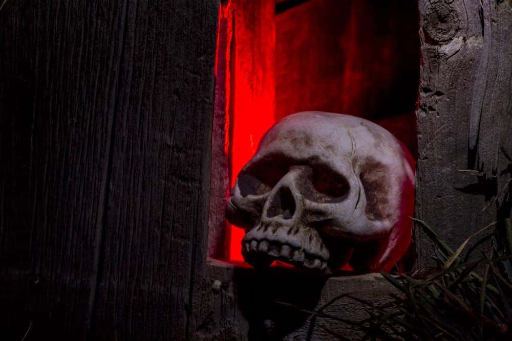 Scary Halloween skull sitting in window of old abandoned wood building with red light