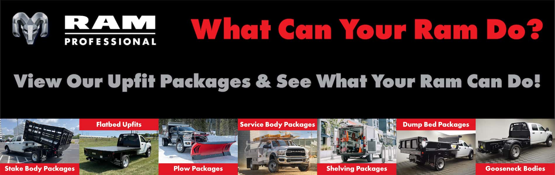 ProMaster-Options_Website-Banner
