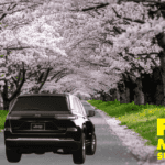Spring Service