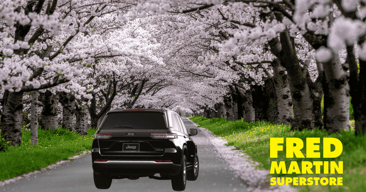 Spring Service