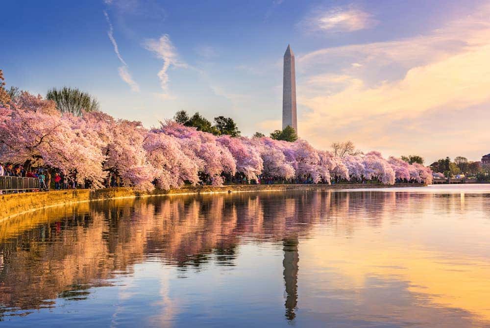 Washington DC in Spring