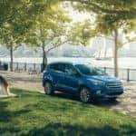 2018 Ford Escape in the forest