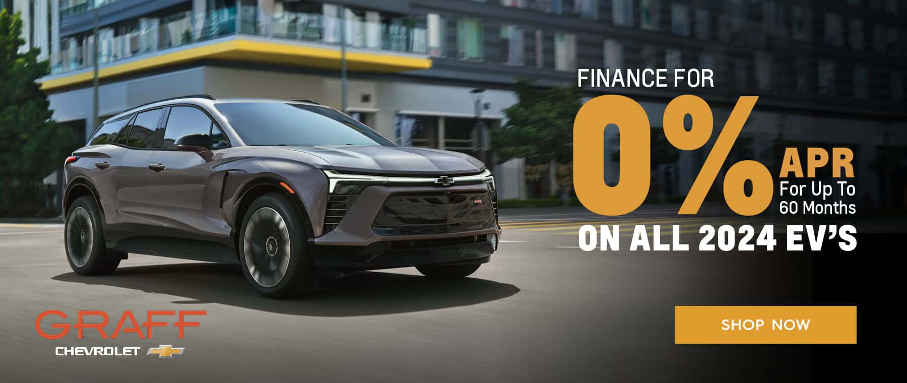 2024 EV Finance Offer