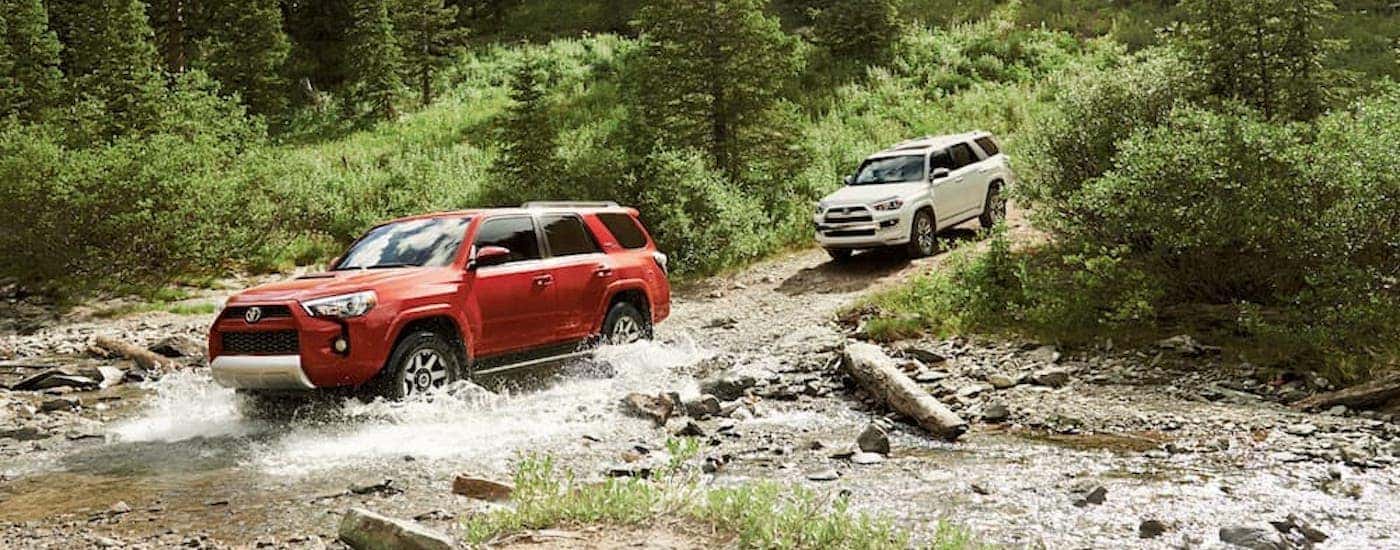 A red and a white 2019 Toyota 4Runner are off-roading.