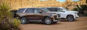 Cadillac Escalade Models